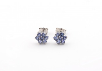 14k Yogo Sapphire Studs