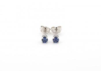 14k Yogo Sapphire Stud Earrings