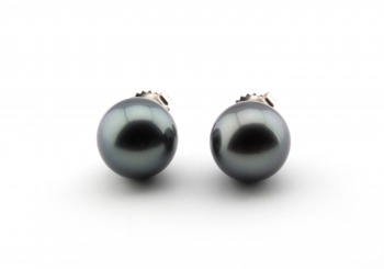 14k Tahitian Pearl Studs
