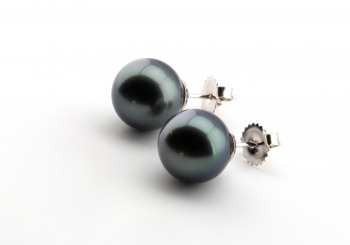 14k Tahitian Pearl Studs 14k Tahitian Pearl Studs