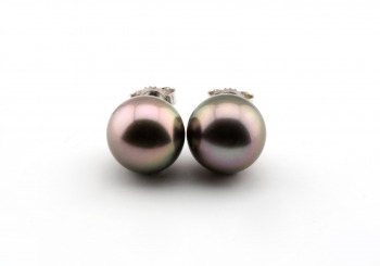 14k Tahitian Pearl Studs
