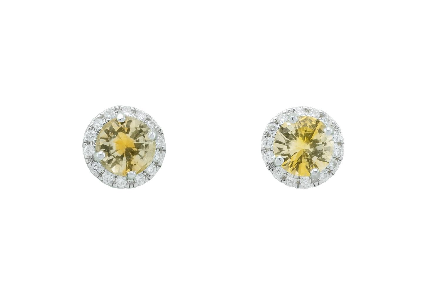 14K Montana Sapphire Halo Studs