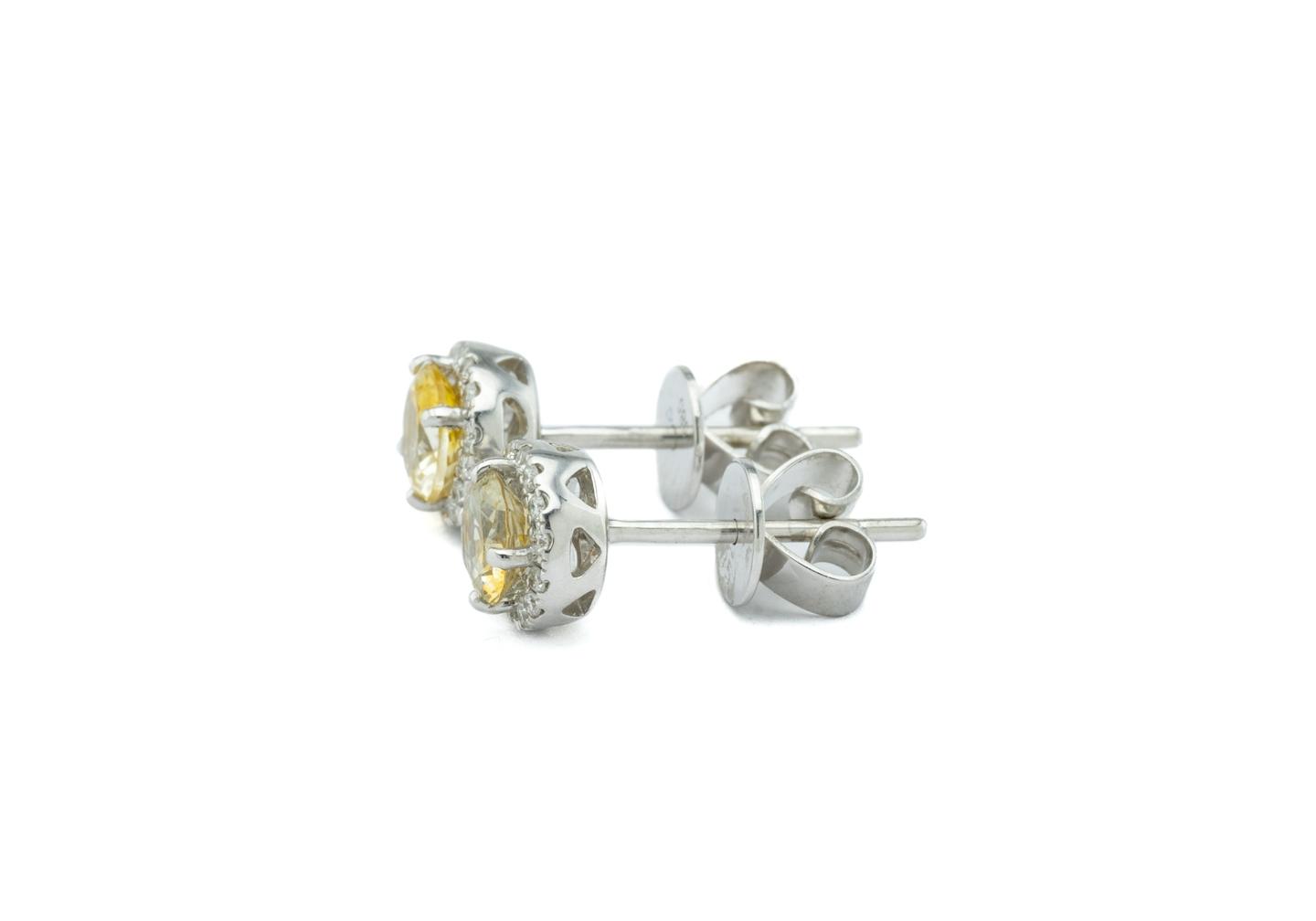 14K Montana Sapphire Halo Studs