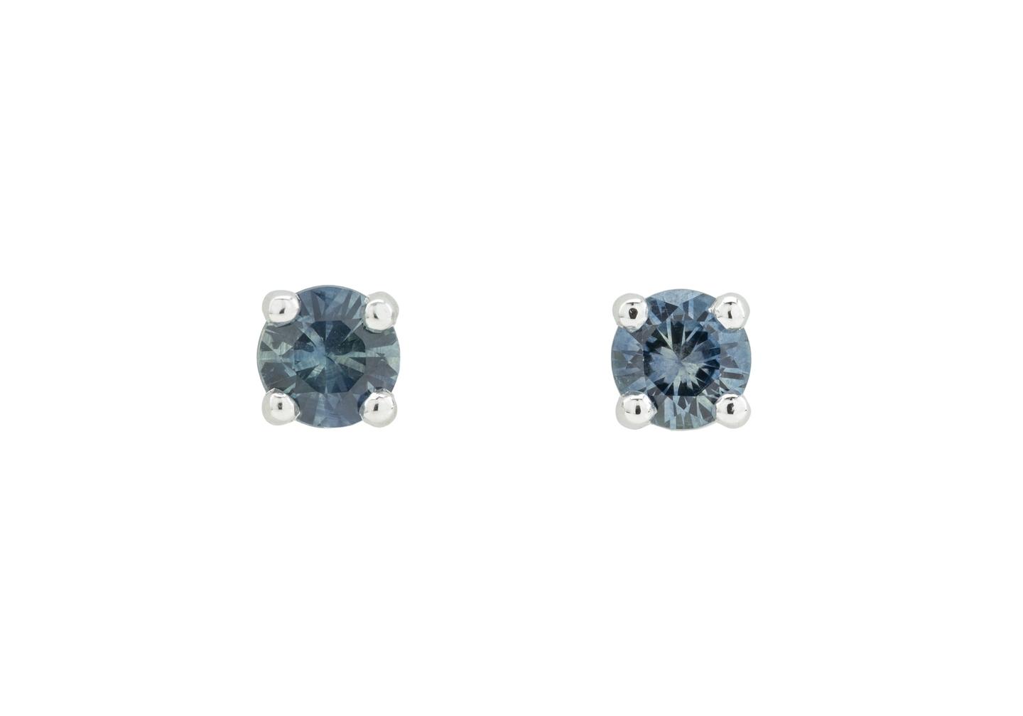 14K Montana Sapphire Classic Studs