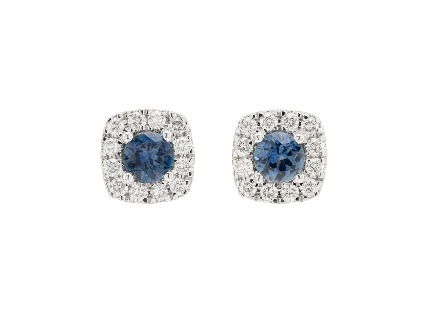 14K Montana Sapphire Filigree Halo Studs
