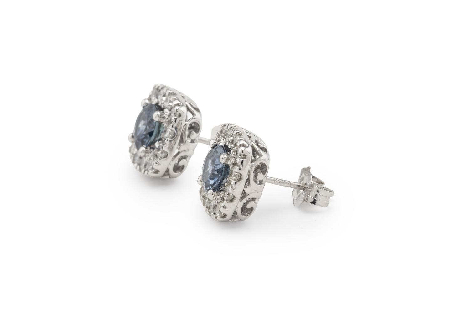14K Montana Sapphire Filigree Halo Studs