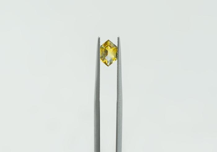 0.92ct Montana Sapphire