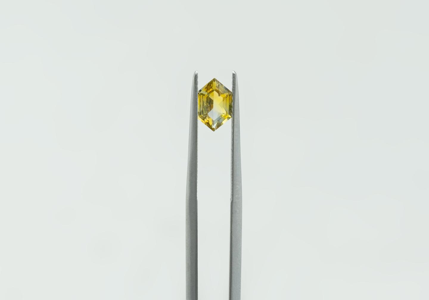 0.92ct Montana Sapphire