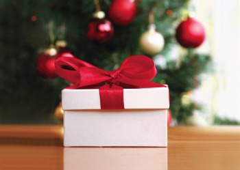 Merry Christmas!!